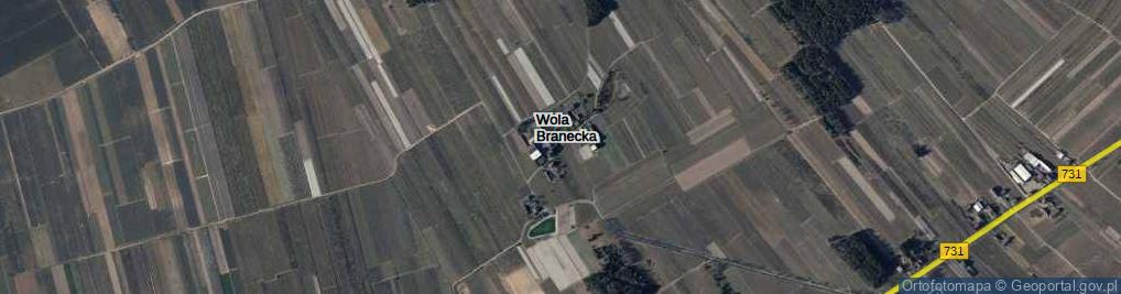 Zdjęcie satelitarne Wola Branecka ul.